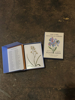 Wildflower Identification Flashcards - New York Botanical Garden