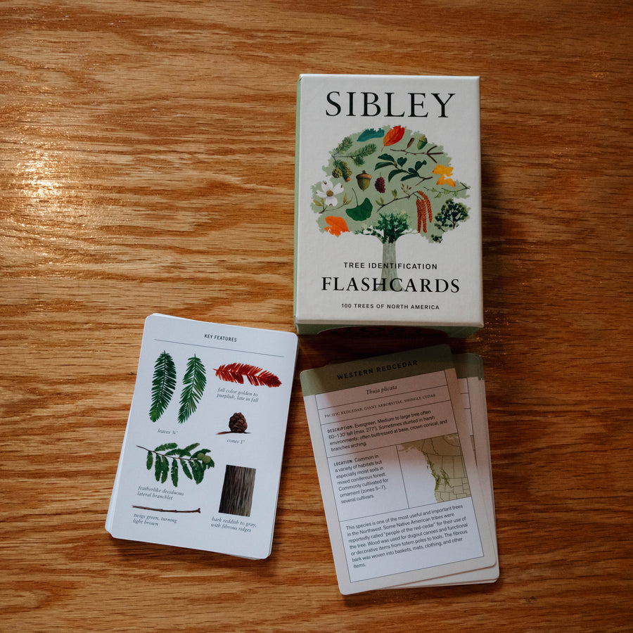 Tree Identification Flashcards - 100 Trees of North America